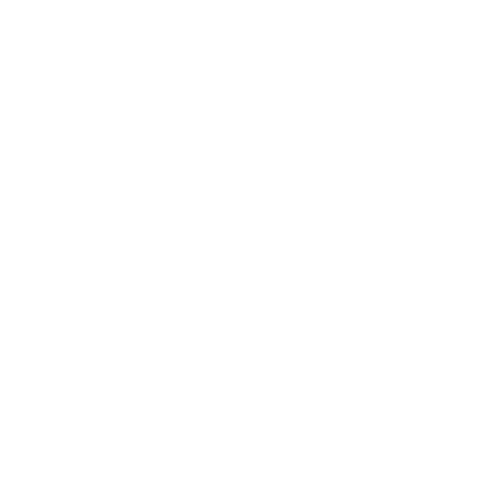 Ethnotrip logo